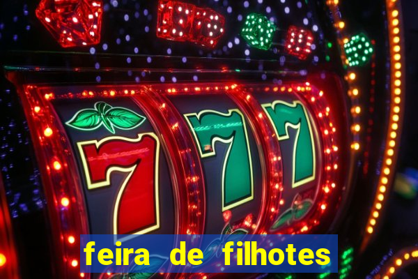 feira de filhotes porto alegre